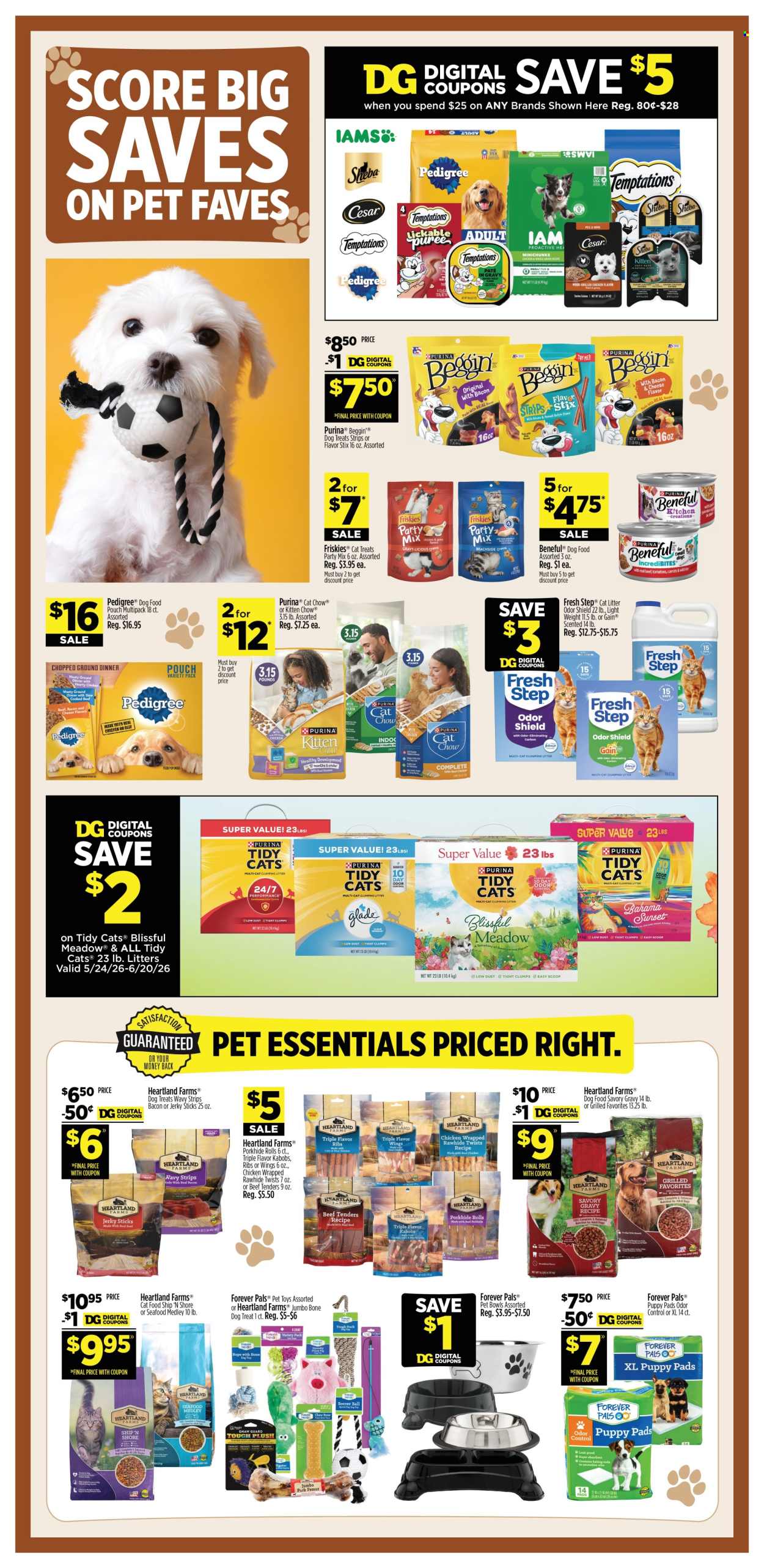 Dollar General ad - 06/07/2026 - 06/13/2026. Page 13