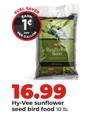 Hy-Vee sunflower seed bird food