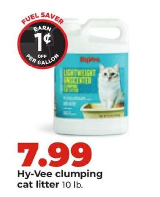 Hy-Vee clumping cat litter