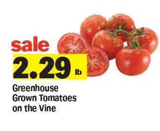 Greenhouse Grown Tomatoes on the Vine