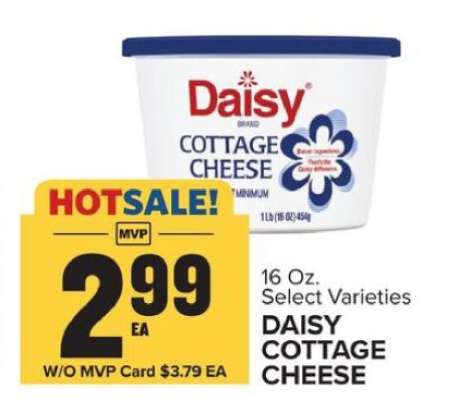Daisy Cottage Cheese