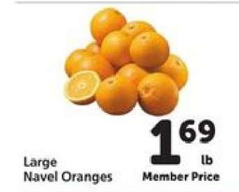 Large Navel Oranges