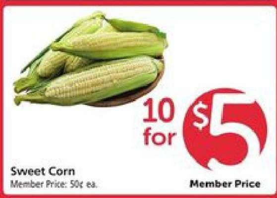 Sweet Corn