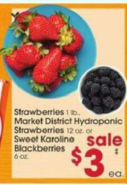 Strawberries / Market District Hydroponic Strawberries / Sweet Karoline Blackberries
