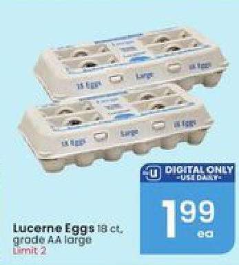 Lucerne Eggs