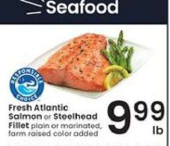Fresh Atlantic Salmon or Steelhead Fillet