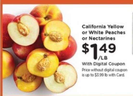California Yellow or White Peaches or Nectarines