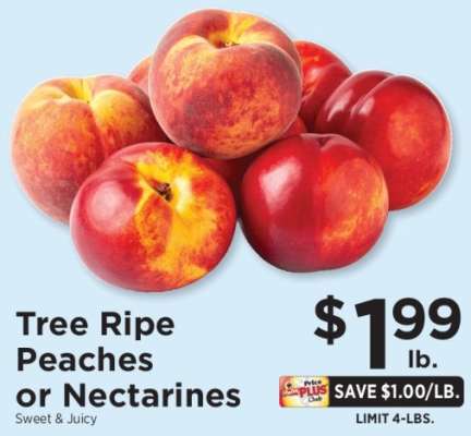 Tree Ripe Peaches or Nectarines