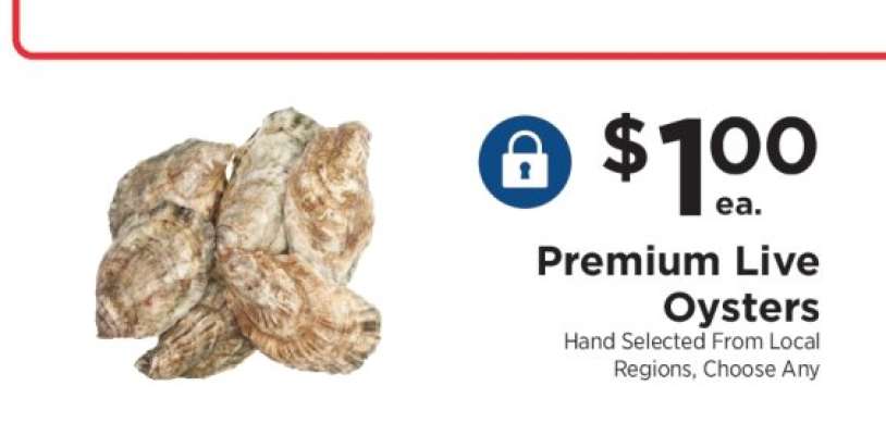 Premium Live Oysters