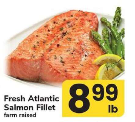 Fresh Atlantic Salmon Fillet