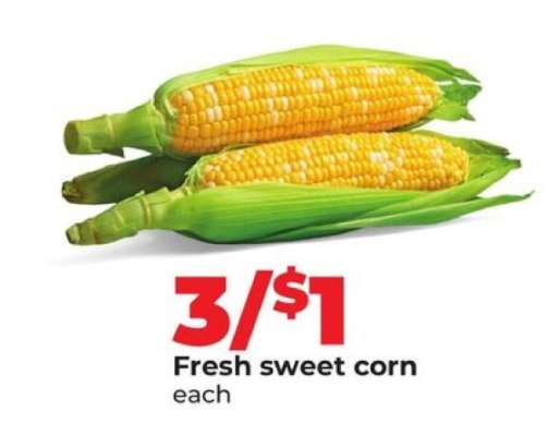 Fresh Sweet Corn