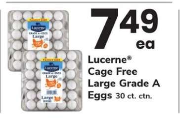 Lucerne Cage Free Large Grade A Eggs