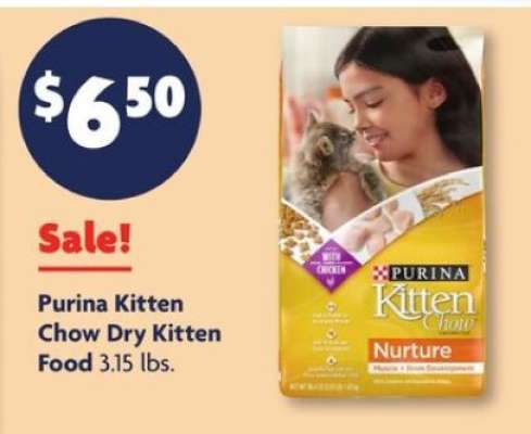 Purina Kitten Chow Dry Kitten Food