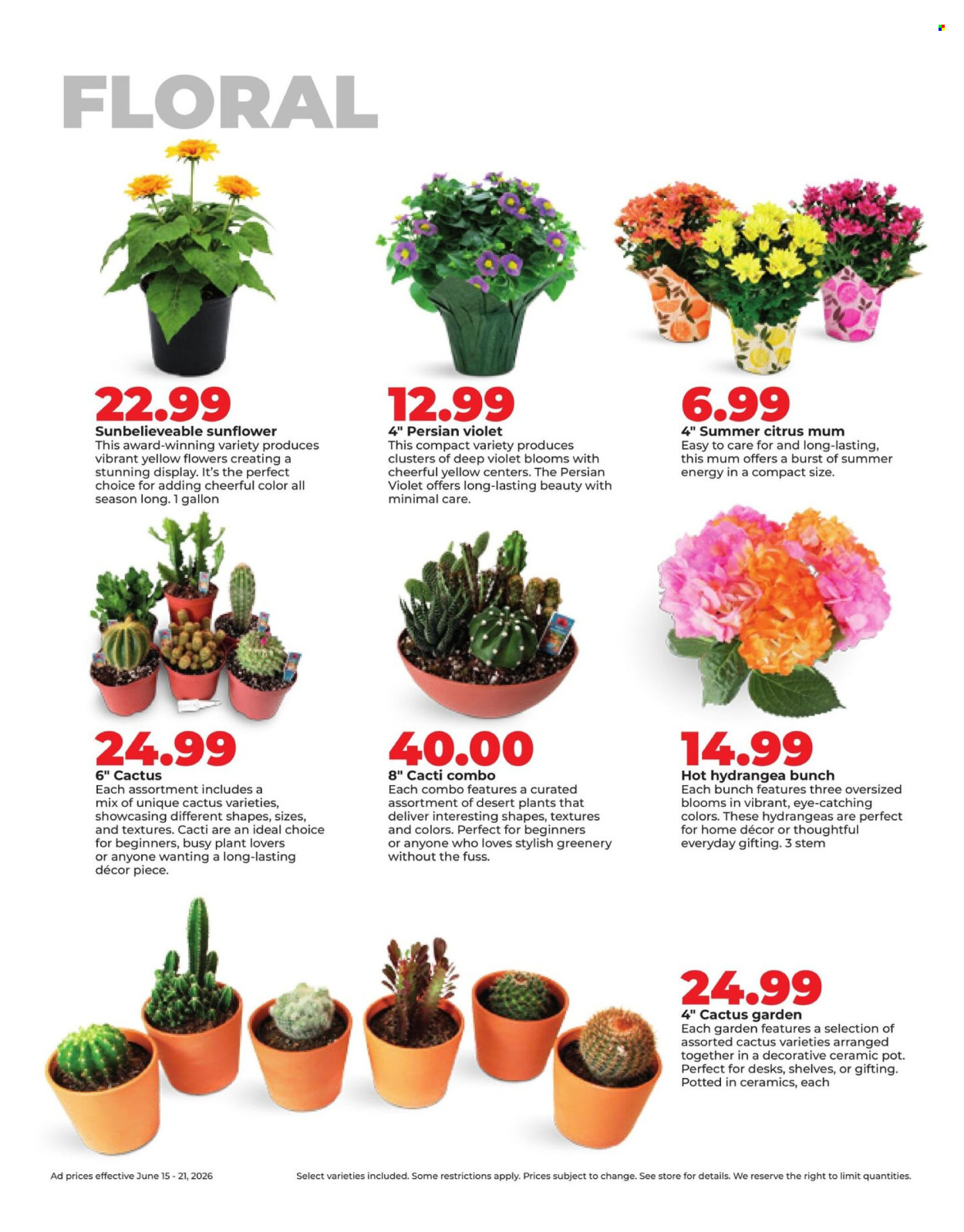 Hy-Vee ad - 06/15/2026 - 06/21/2026. Page 35