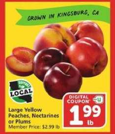 Large Yellow Peaches, Nectarines or Plums