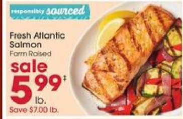 Fresh Atlantic Salmon
