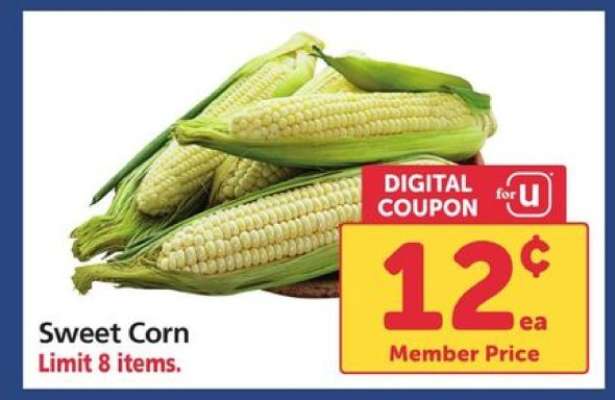 Sweet Corn