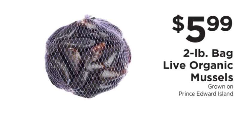 Live Organic Mussels