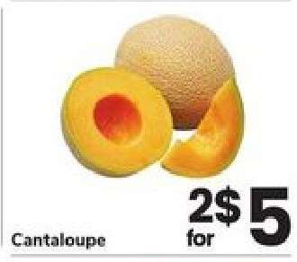 Cantaloupe