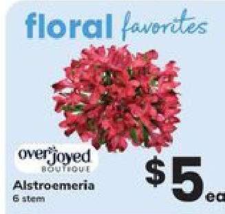 Alstroemeria