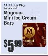 Magnum Mini Ice Cream Bars