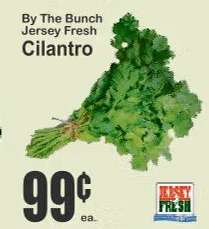 Cilantro