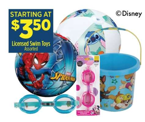 Licensed Swim Toys