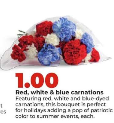 Red, white & blue carnations