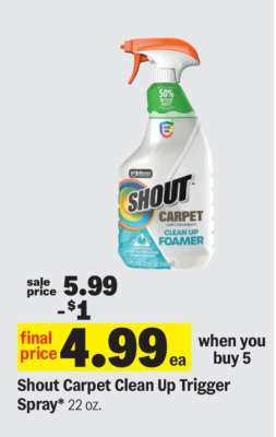 Shout Carpet Clean Up Trigger Spray