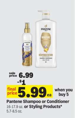 Pantene Shampoo or Conditioner or Styling Products