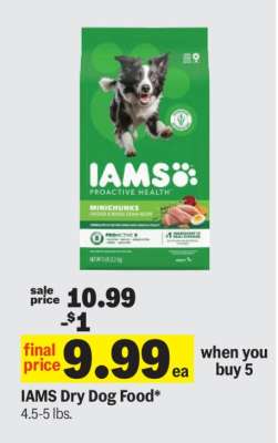 Iams Dry Dog Food