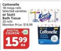Cottonelle or Scott Bath Tissue