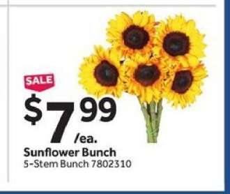 Sunflower Bunch