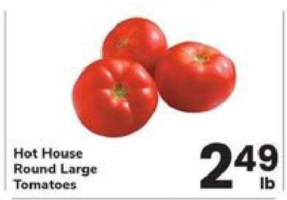 Hot House Round Large Tomatoes