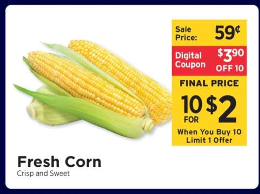 Fresh Corn