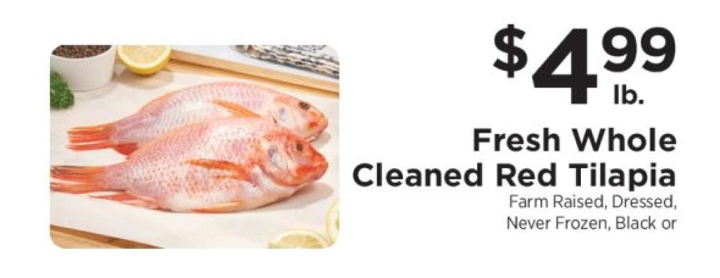 Fresh Whole Cleaned Red Tilapia