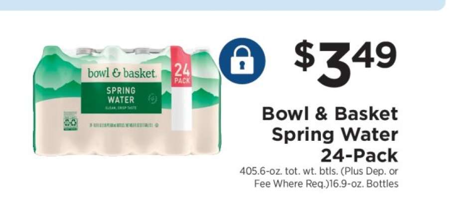 Bowl & Basket Spring Water 24-Pack