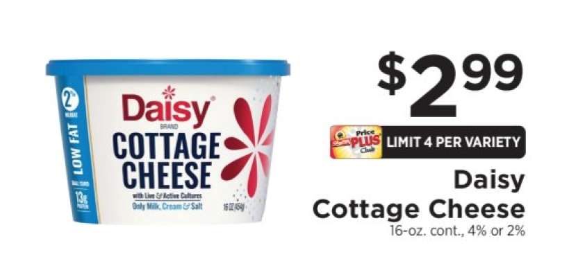 Daisy Cottage Cheese
