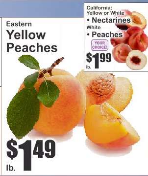 Eastern Yellow Peaches