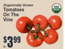 Tomatoes on the Vine