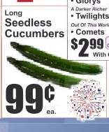 Long Seedless Cucumbers