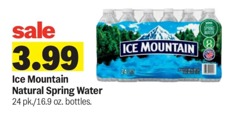 Ice Mountain Natural Spring Water
