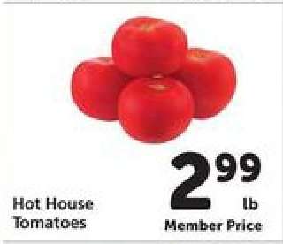 Hot House Tomatoes