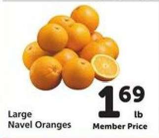 Large Navel Oranges