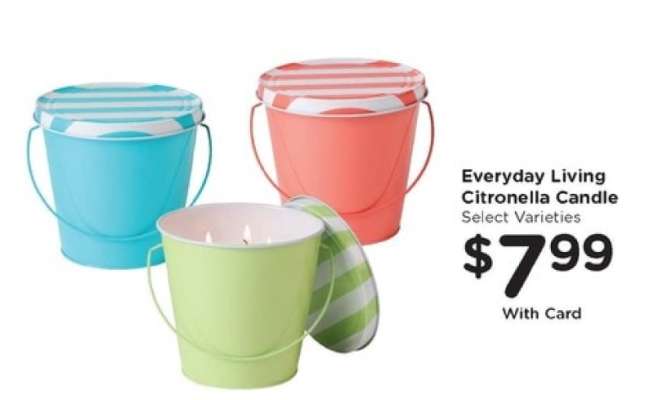 Everyday Living Citronella Candle
