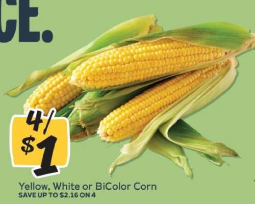 Corn