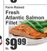 Fresh Atlantic Salmon Fillet