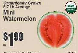 Mini Watermelon