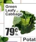 Green Leafy Cabbage