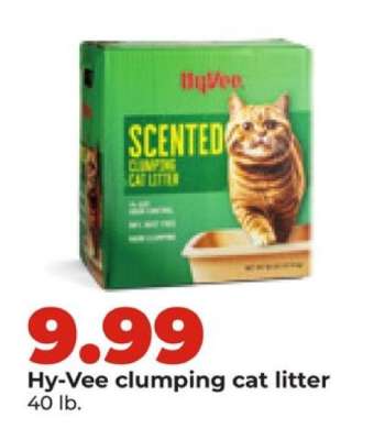 Hy-Vee clumping cat litter